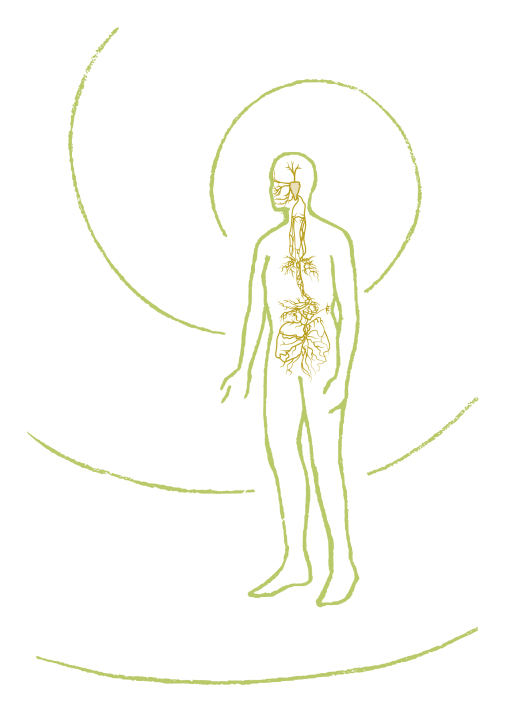 Atem, Stimme, Sprache & Vagus Balance - inkl Neurographik